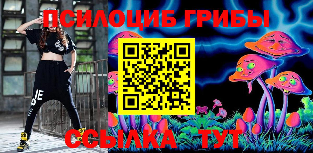 Псилоцибиновые грибы Cubensis  Псилоцибиновые грибы Psilocybe  Волоколамск  Вход с VPN 