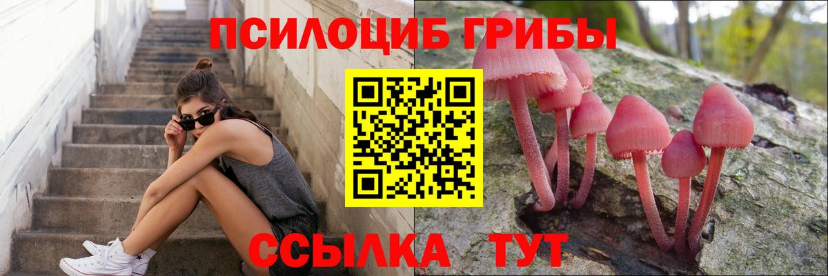Псилоцибиновые грибы прущие грибы Волоколамск